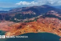 Riset Auriga Nusantara mengungkap fakta mengejutkan: 433.751 hektare hutan Indonesia hilang sepanjang 2025. Angka ini naik hampir dua kali lipat dibanding tahun sebelumnya. 
