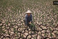 Ilustrasi musim kemarau. (Dinas Lingkungan Hidup Kota Semarang) 