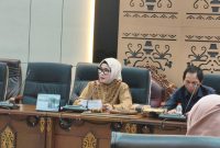 Foto Ketua Komisi I DPRD Barito Utara, Hj. Nety Herawati