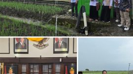 Foto Wakil Bupati Barito Utara, Felix Sonadie Y. Tingan, didampingi Kepala Dinas Pertanian Adi Hariyadi di Kabupaten Nganjuk, Jawa Timur