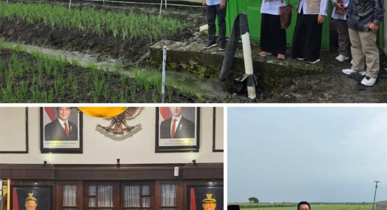 foto slider headline