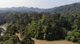 Ilustrasi hutan adat. Foto menunjukkan hutan adat Desa Guguk yang dijaga dan dikelola masyarakat secara baik. FOTO ANTARA/HO/Warsi 