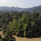 Ilustrasi hutan adat. Foto menunjukkan hutan adat Desa Guguk yang dijaga dan dikelola masyarakat secara baik. FOTO ANTARA/HO/Warsi 