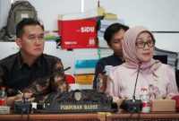 DPRD Kalteng kini tengah mematangkan pembahasan Rancangan Peraturan Daerah (Raperda) tentang Penyelenggaraan Penanaman Modal dan Pelayanan Terpadu Satu Pintu (PTSP).Foto:Istimewa