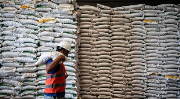 Petugas mengangkut karung beras di Gudang Bulog Tambak Aji, Semarang, Jawa Tengah, Senin (6/4/2026). [ANTARA FOTO/Aprillio Akbar/agr] 