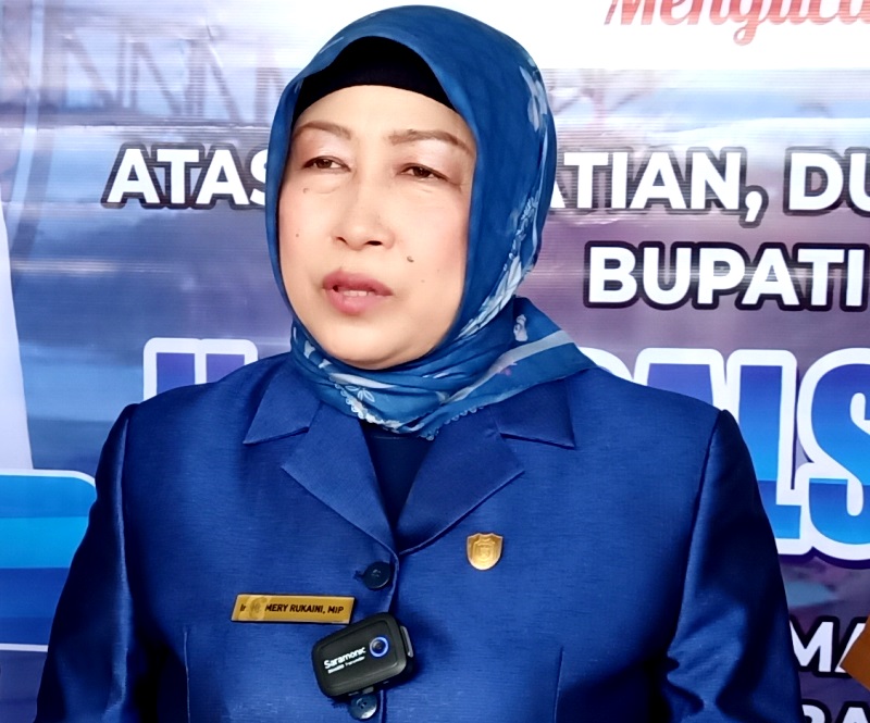 Foto Ketua DPRD Kabupaten Barito Utara, Ir. Hj. Mery Rukaini, M.I.P