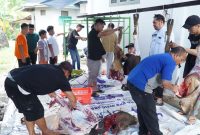 Karyawan BRI Muara Teweh saat berkurban dan membagikan kepada masyarakt sekitar, Rabu(27/05/2026).Foto humas BRI