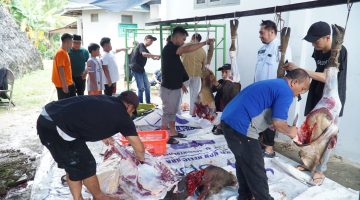 Karyawan BRI Muara Teweh saat berkurban dan membagikan kepada masyarakt sekitar, Rabu(27/05/2026).Foto humas BRI