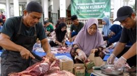 pembagian daging kurban yang benar (dibuat menggunakan AI) 