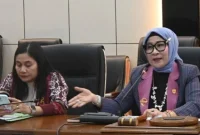 DPRD Barito Utara Minta Dinkes Segera Isi Kekosongan Nakes di Puskesmas. Dok/foto: Setwan