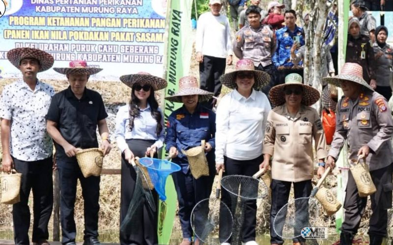 Bupati Heriyus dalam kegiatan Panen Raya Ikan Nila yang diselenggarakan Kelompok Pembudidaya Ikan (Pokdakan) Pakat Sasama di Kelurahan Puruk Cahu Seberang, Kecamatan Murung, Kamis (11/6/2026).