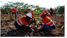 PT IMK menanam sebanyak 405 pohon di area reklamasi Wastedump Bantian 5-4, Desa Bantian, Kecamatan Sungai Babuat, Kabupaten Murung Raya. (Foto : Humas PT IMK)