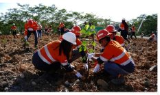 berita-pilihan-foto
