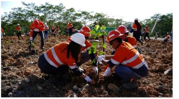 PT IMK menanam sebanyak 405 pohon di area reklamasi Wastedump Bantian 5-4, Desa Bantian, Kecamatan Sungai Babuat, Kabupaten Murung Raya. (Foto : Humas PT IMK)