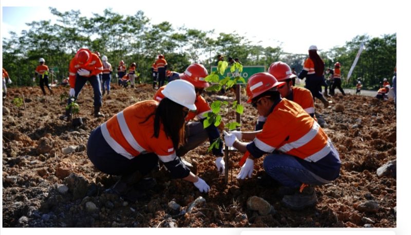 PT IMK menanam sebanyak 405 pohon di area reklamasi Wastedump Bantian 5-4, Desa Bantian, Kecamatan Sungai Babuat, Kabupaten Murung Raya. (Foto : Humas PT IMK) 