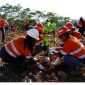 PT IMK menanam sebanyak 405 pohon di area reklamasi Wastedump Bantian 5-4, Desa Bantian, Kecamatan Sungai Babuat, Kabupaten Murung Raya. (Foto : Humas PT IMK) 