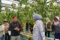 Ketua TP PKK Provinsi Kalimantan Tengah Aisyah Thisia Agustiar Sabran bersama Kepala Dinas TPHP Kalteng Rendy Lesmana mengikuti panen melon hidroponik di Smart Greenhouse II UPT BPMPPHMT, Palangka Raya. Panen menghasilkan sekitar 1,1 ton melon sebagai bagian dari pengembangan pertanian modern dan penguatan ketahanan pangan daerah. Minggu (2/8/26).