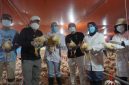 Ketua TP PKK Provinsi Kalimantan Tengah Aisyah Thisia Agustiar Sabran bersama Kepala Dinas TPHP Kalteng Rendy Lesmana meninjau sekaligus mengikuti panen 24.000 ekor ayam broiler di Apartemen Ayam UPT BPMPPTHMT Palangka Raya. Peternakan modern berbasis sistem Close House ini menjadi bagian dari upaya memperkuat ketahanan pangan dan meningkatkan kesejahteraan peternak di Kalimantan Tengah. Minggu (2/8/26).