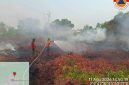 Tim gabungan melakukan pemadaman dan pembasahan kebakaran hutan dan lahan di salah satu wilayah rawan karhutla di Kalimantan Tengah, Selasa (11/8/26).