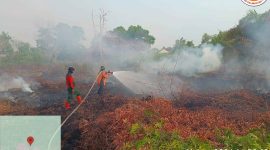 Tim gabungan melakukan pemadaman dan pembasahan kebakaran hutan dan lahan di salah satu wilayah rawan karhutla di Kalimantan Tengah, Selasa (11/8/26).