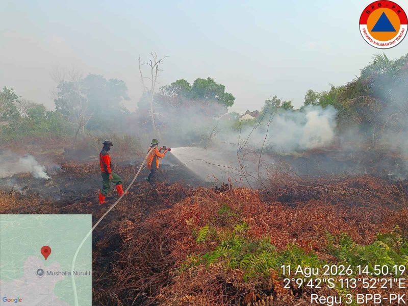 Tim gabungan melakukan pemadaman dan pembasahan kebakaran hutan dan lahan di salah satu wilayah rawan karhutla di Kalimantan Tengah, Selasa (11/8/26).