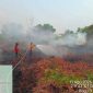 Tim gabungan melakukan pemadaman dan pembasahan kebakaran hutan dan lahan di salah satu wilayah rawan karhutla di Kalimantan Tengah, Selasa (11/8/26).