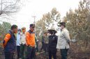 Wakil Gubernur Kalimantan Tengah Edy Pratowo bersama Sekda Kalteng Linae Victoria Aden dan jajaran Pemprov Kalteng memantau langsung penanganan Kebakaran Hutan dan Lahan (Karhutla) di wilayah Kota Palangka Raya dan sekitarnya, Kamis (27/8/26).