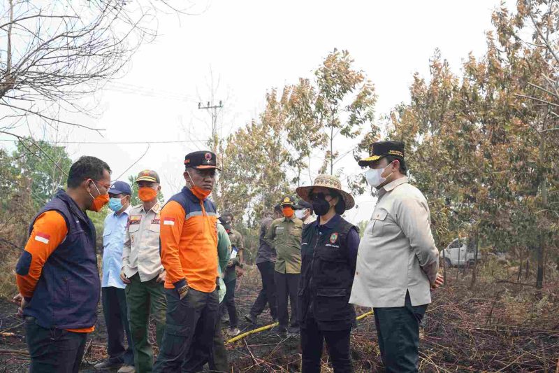 Wakil Gubernur Kalimantan Tengah Edy Pratowo bersama Sekda Kalteng Linae Victoria Aden dan jajaran Pemprov Kalteng memantau langsung penanganan Kebakaran Hutan dan Lahan (Karhutla) di wilayah Kota Palangka Raya dan sekitarnya, Kamis (27/8/26).
