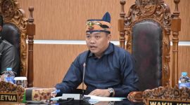 Wakil Ketua II DPRD Kabupaten Kapuas, Berinto