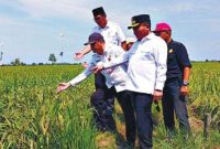 Ketua DPRD Kabupaten Kapuas, Ardiansa