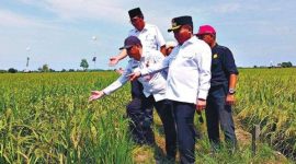 Ketua DPRD Kabupaten Kapuas, Ardiansa