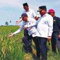 Ketua DPRD Kabupaten Kapuas, Ardiansa