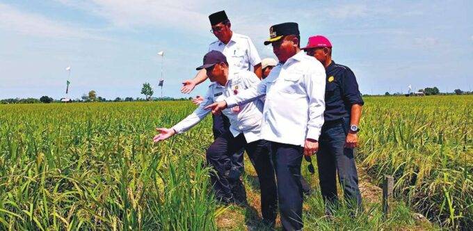 Ketua DPRD Kabupaten Kapuas, Ardiansa