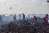Ilustrasi / Petugas memadamkan api kebakaran hutan dan lahan (karhutla). [ANTARA FOTO/Wahdi Septiawan] 