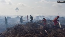 Ilustrasi / Petugas memadamkan api kebakaran hutan dan lahan (karhutla). [ANTARA FOTO/Wahdi Septiawan] 