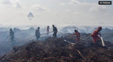 Ilustrasi / Petugas memadamkan api kebakaran hutan dan lahan (karhutla). [ANTARA FOTO/Wahdi Septiawan] 