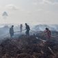 Ilustrasi / Petugas memadamkan api kebakaran hutan dan lahan (karhutla). [ANTARA FOTO/Wahdi Septiawan] 