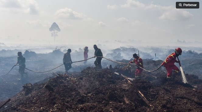 Ilustrasi / Petugas memadamkan api kebakaran hutan dan lahan (karhutla). [ANTARA FOTO/Wahdi Septiawan] 