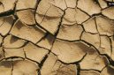 Ilustrasi kekeringan, dampak El Nino di Indonesia. (Pexels) 