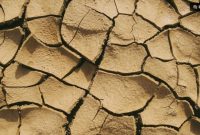 Ilustrasi kekeringan, dampak El Nino di Indonesia. (Pexels) 