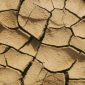 Ilustrasi kekeringan, dampak El Nino di Indonesia. (Pexels) 