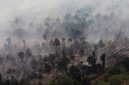 Ilustrasi. Foto udara kebakaran hutan dan lahan gambut. [ANTARA FOTO/Jessica Wuysang/YU] 