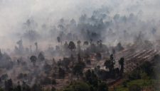 Ilustrasi. Foto udara kebakaran hutan dan lahan gambut. [ANTARA FOTO/Jessica Wuysang/YU] 