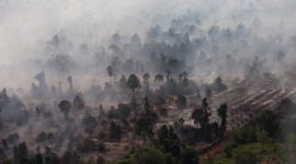 Ilustrasi. Foto udara kebakaran hutan dan lahan gambut. [ANTARA FOTO/Jessica Wuysang/YU] 