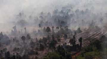 Ilustrasi. Foto udara kebakaran hutan dan lahan gambut. [ANTARA FOTO/Jessica Wuysang/YU] 
