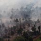 Ilustrasi. Foto udara kebakaran hutan dan lahan gambut. [ANTARA FOTO/Jessica Wuysang/YU] 