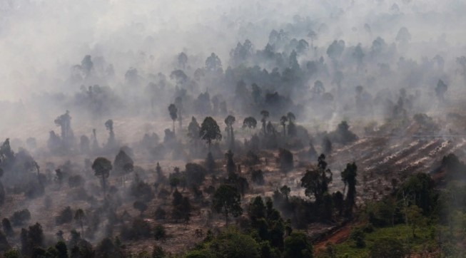 Ilustrasi. Foto udara kebakaran hutan dan lahan gambut. [ANTARA FOTO/Jessica Wuysang/YU] 
