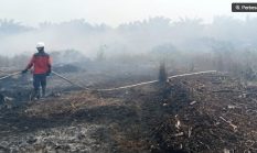berita-pilihan-foto