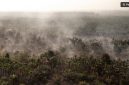 Foto udara asap mengepul dari kebun kelapa sawit dan pinang yang terbakar di Desa Pandan Sejahtera, Tanjung Jabung Timur, Jambi, Selasa (25/8/2026). [ANTARA FOTO/Wahdi Septiawan/YU] 