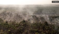 Foto udara asap mengepul dari kebun kelapa sawit dan pinang yang terbakar di Desa Pandan Sejahtera, Tanjung Jabung Timur, Jambi, Selasa (25/8/2026). [ANTARA FOTO/Wahdi Septiawan/YU] 